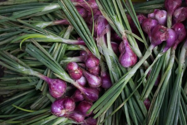 Kraken onion link