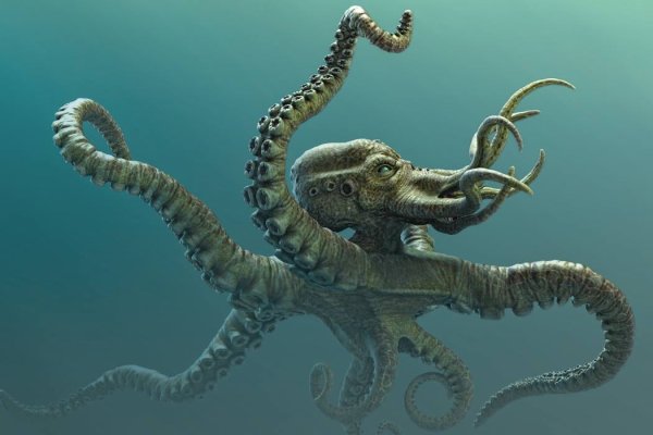 Kraken 12 att