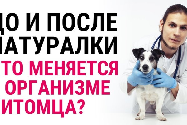 Кракен зеркало krk market com